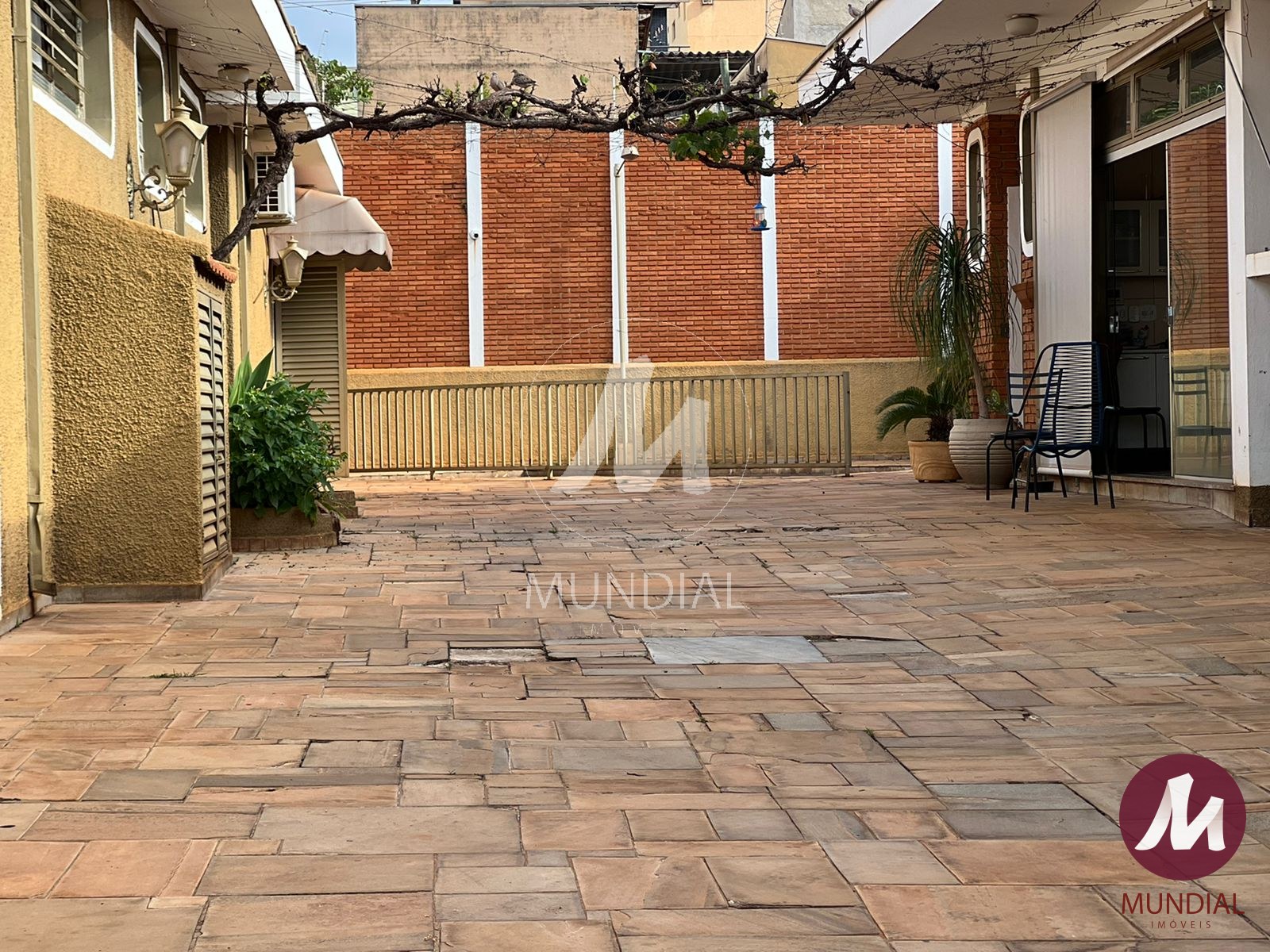 Quintal/corredores — foto 4