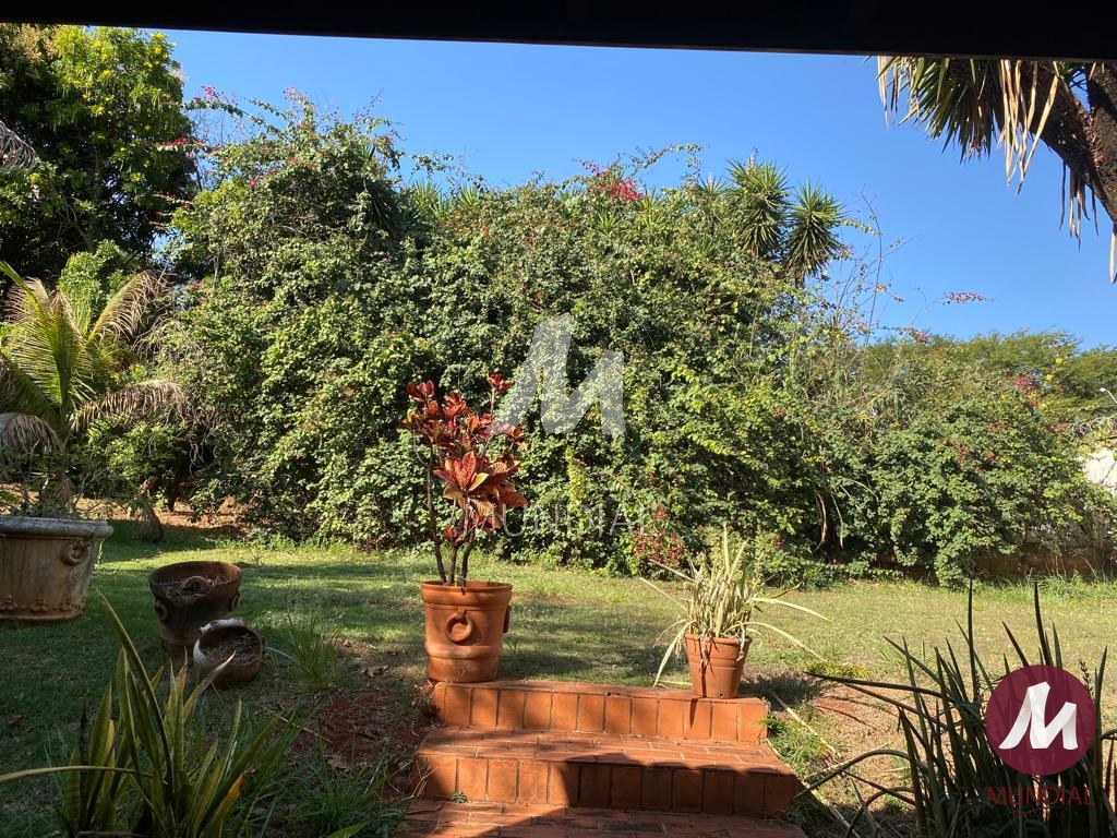 Quintal/corredores — foto 8