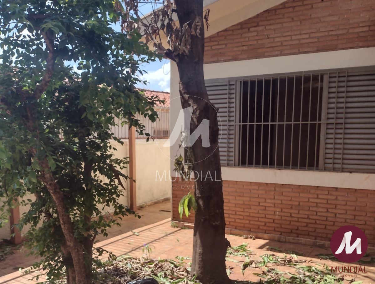 Quintal/corredores — foto 14