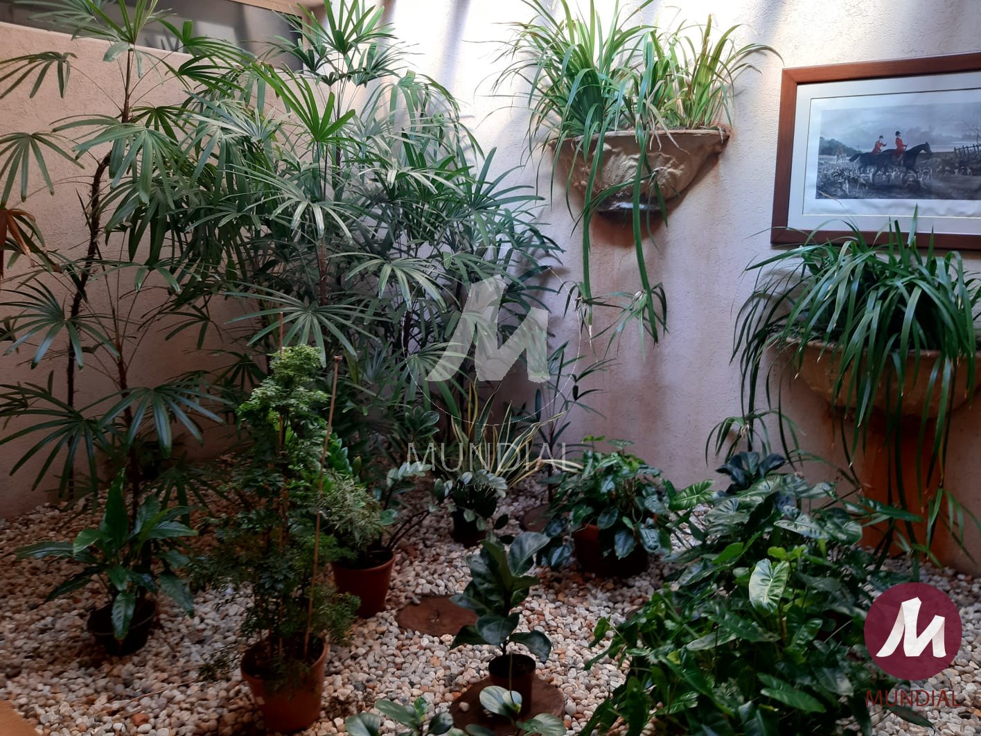 Jardim — foto 16