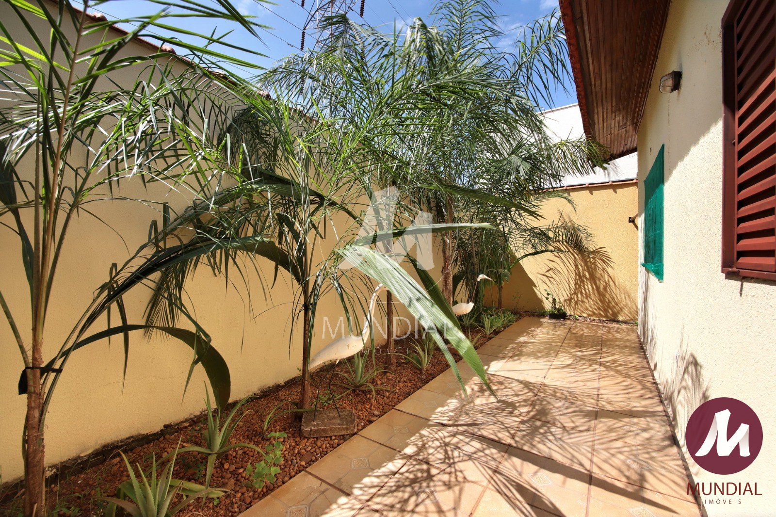 Quintal/corredores — foto 13