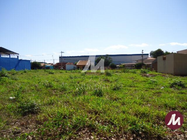Terreno/Lote — foto 4