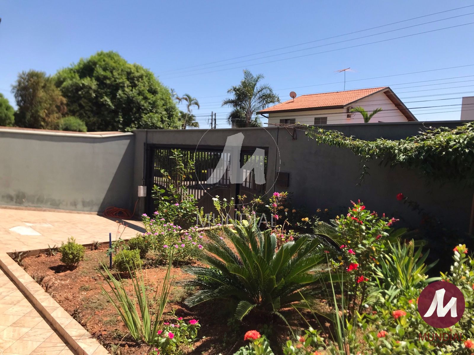 Jardim — foto 13