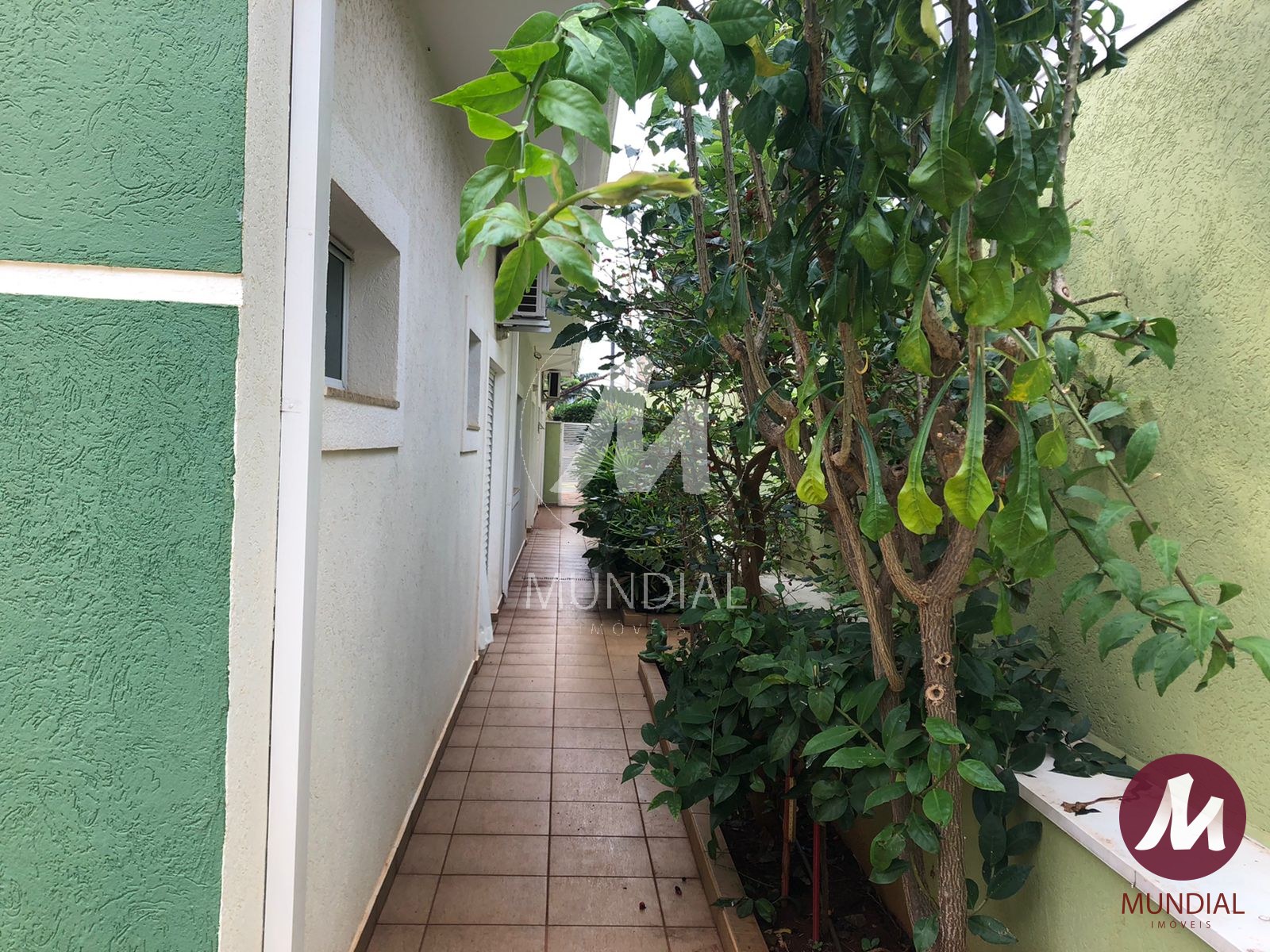 Quintal/corredores — foto 41