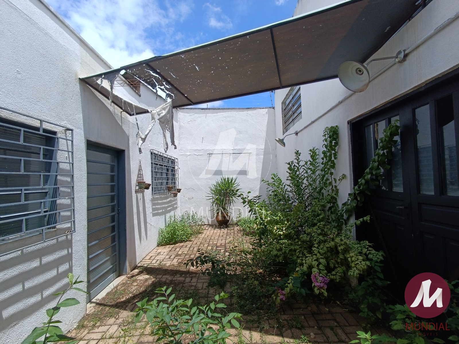 Jardim — foto 23