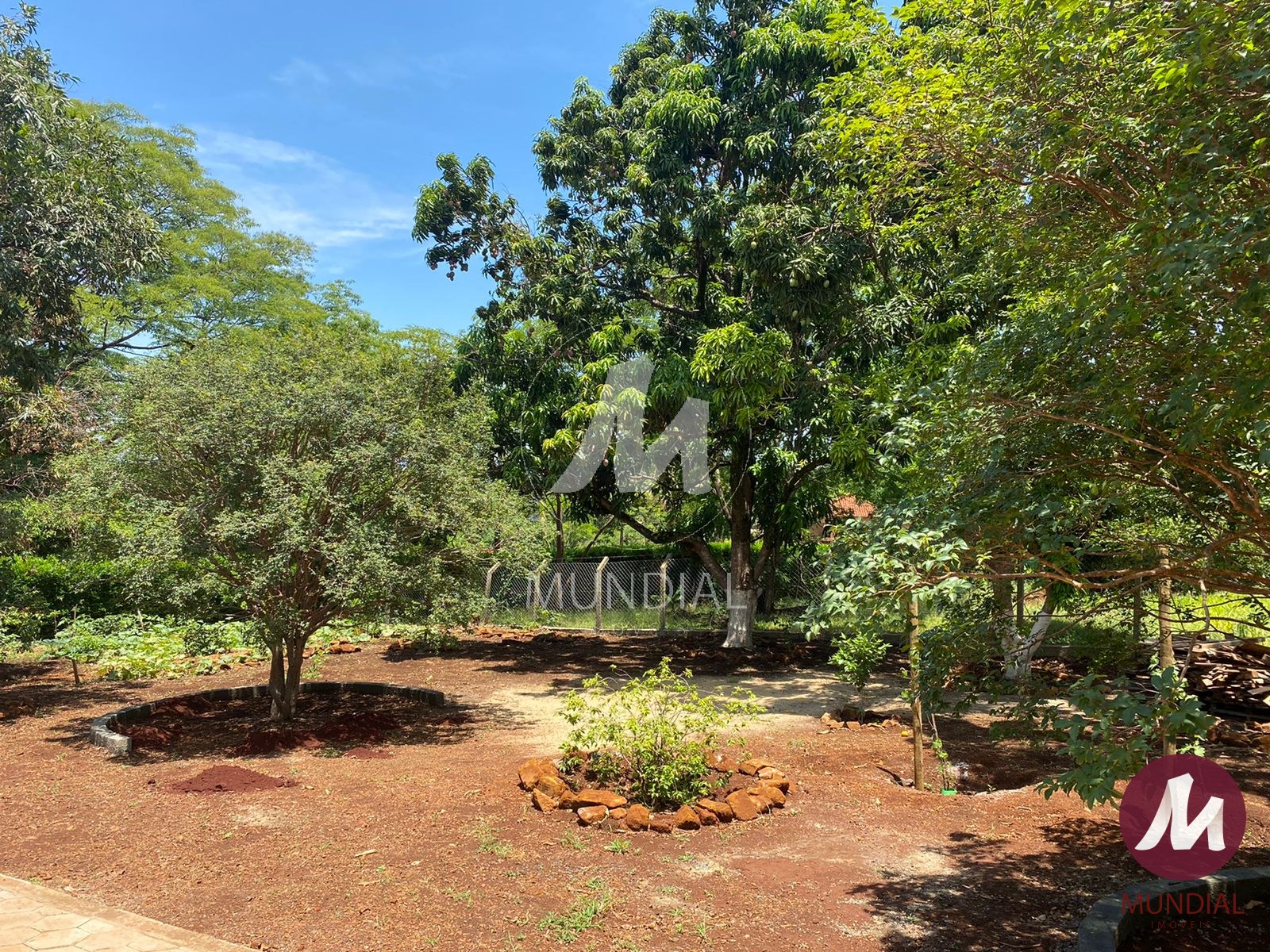 Outras — foto 10