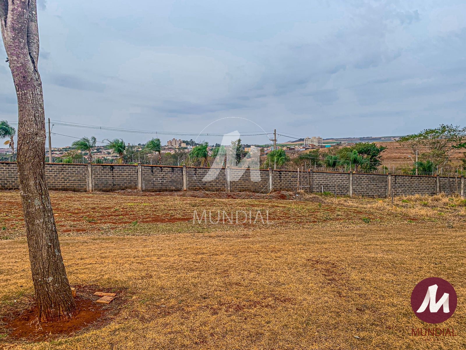 Terreno/Lote — foto 3