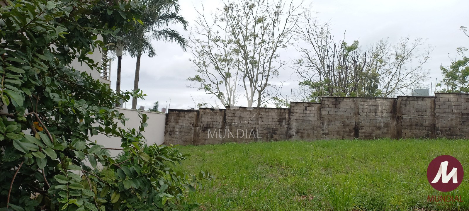 Terreno/Lote — foto 1