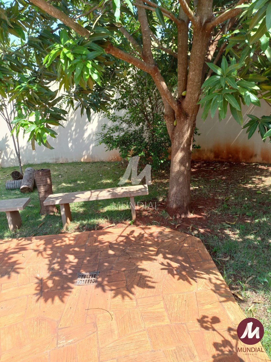 Quintal/corredores — foto 8