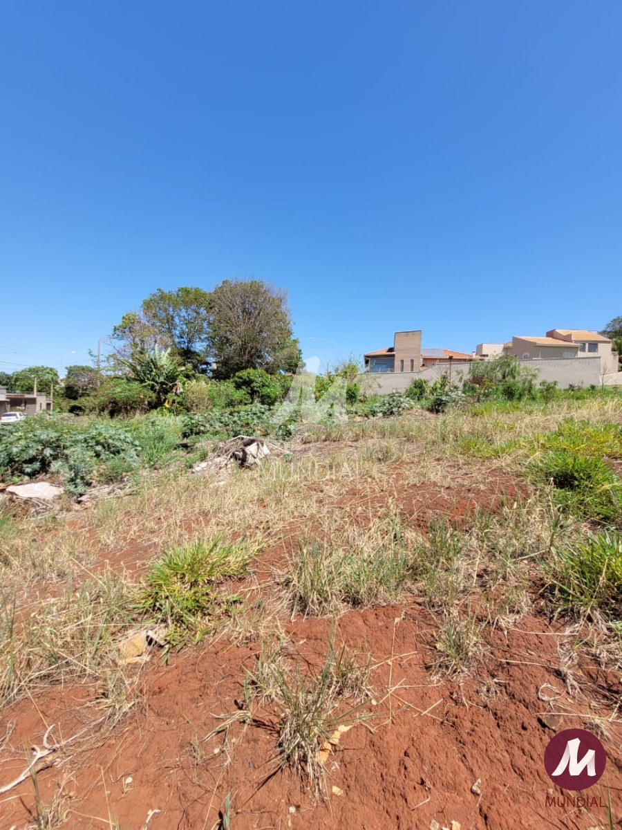 Terreno/Lote — foto 4