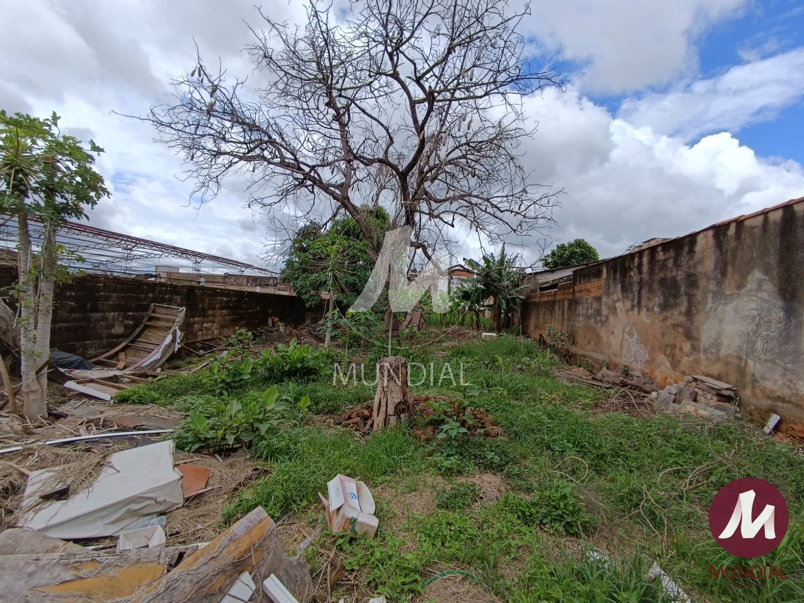 Terreno/Lote — foto 2