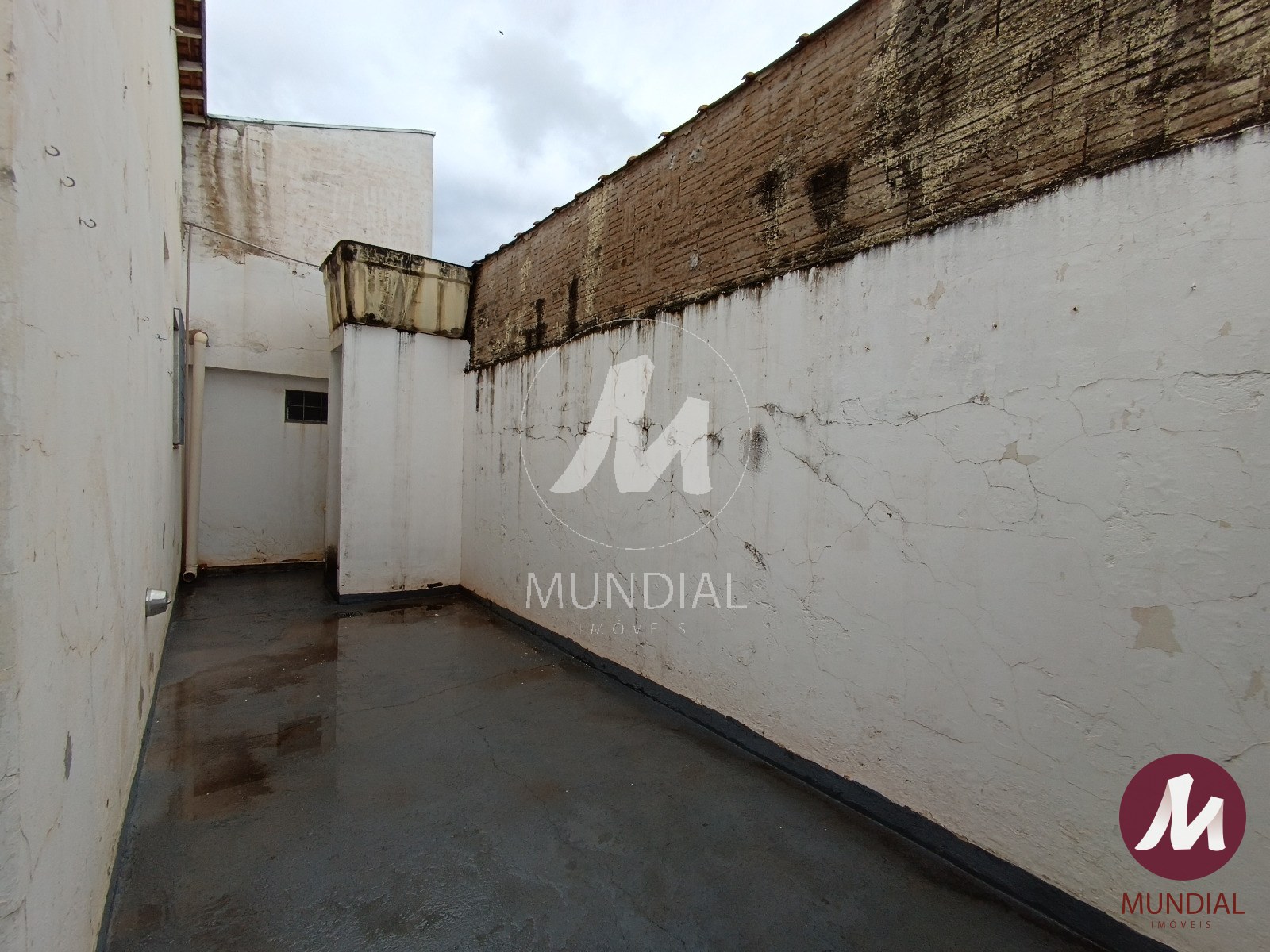 Quintal/corredores — foto 15