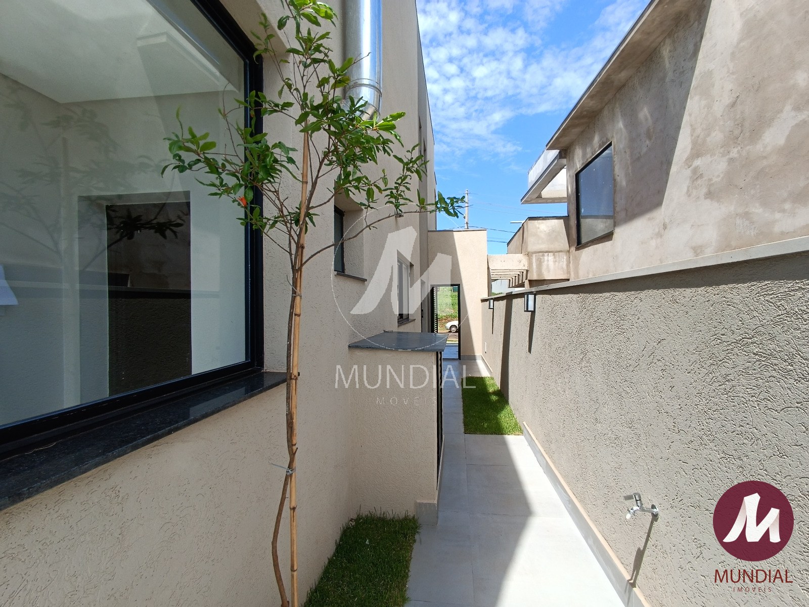 Quintal/corredores — foto 59