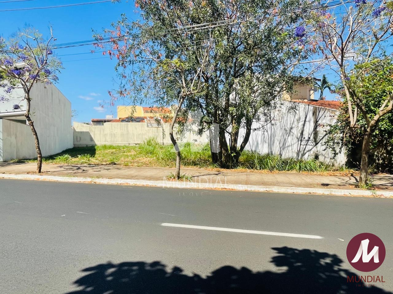 Terreno/Lote — foto 1