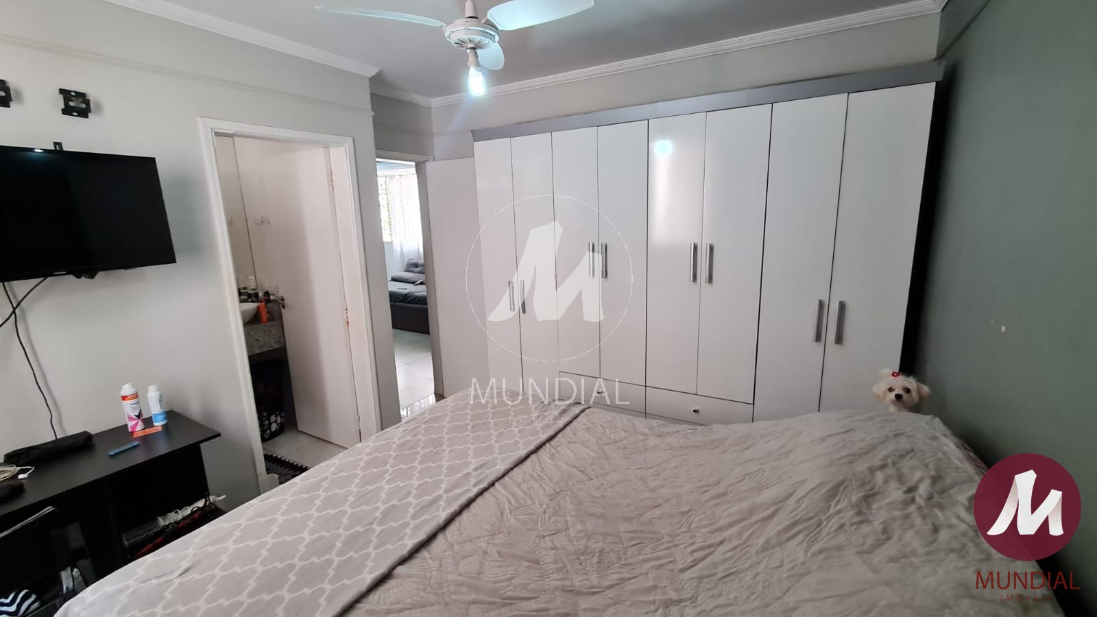 Suite — foto 3