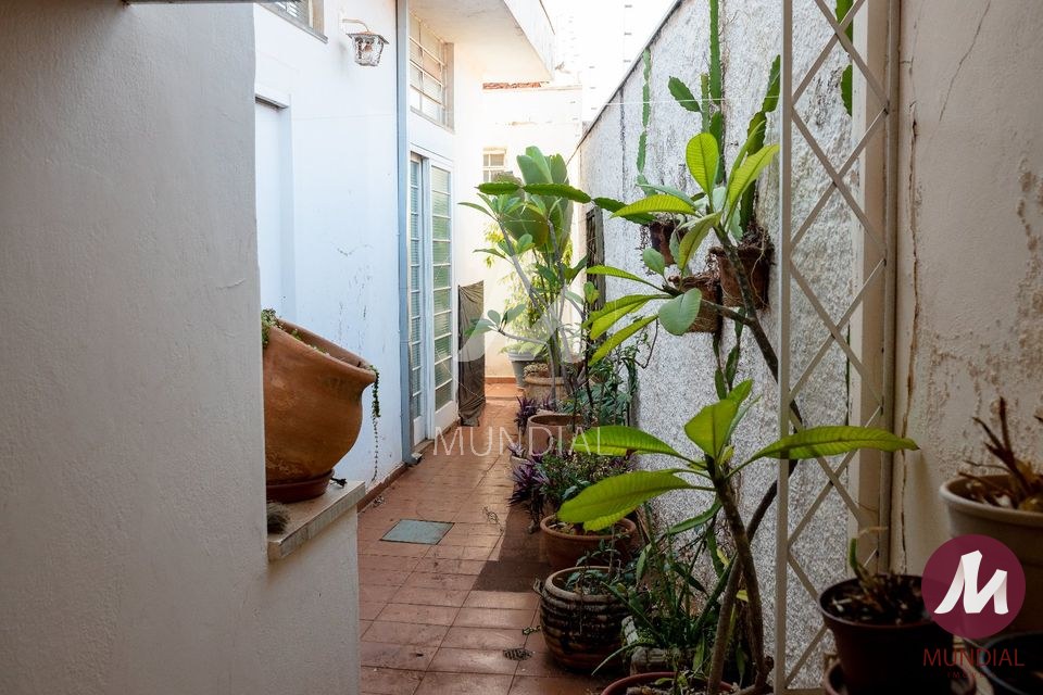 Quintal/corredores — foto 16