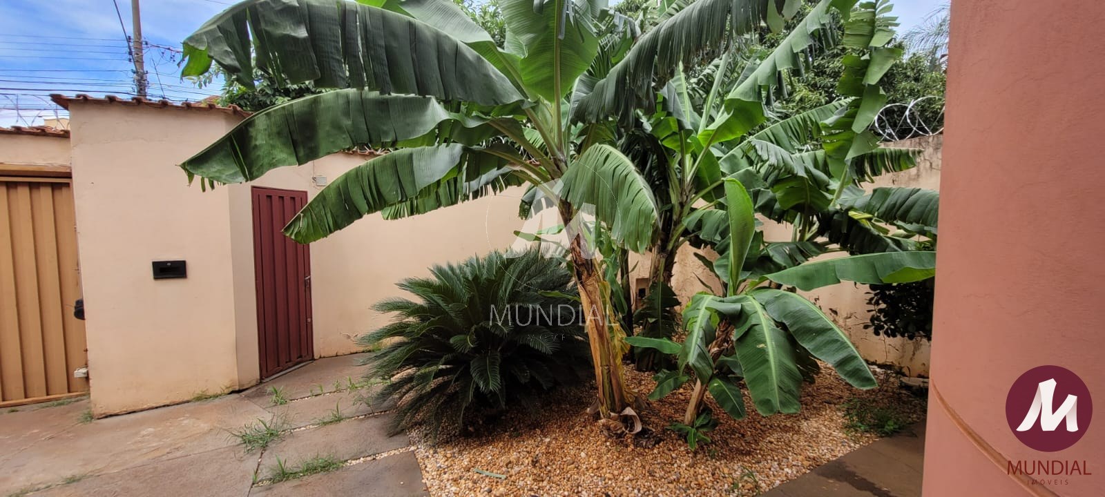 Jardim — foto 2