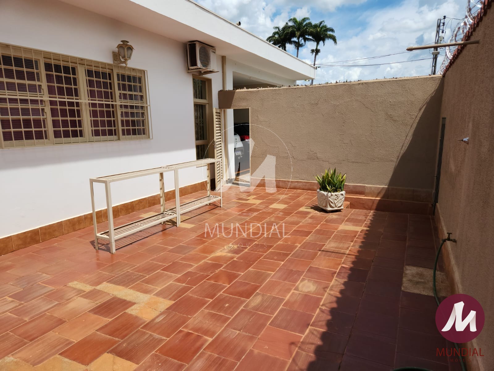 Quintal/corredores — foto 19