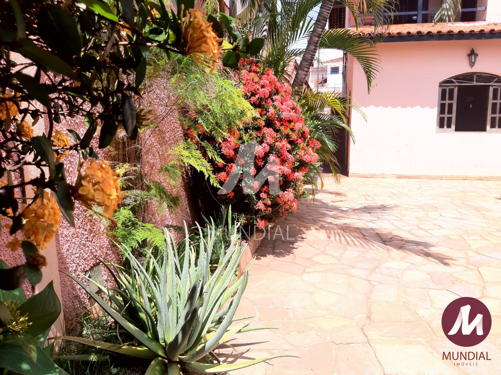 Quintal/corredores — foto 21