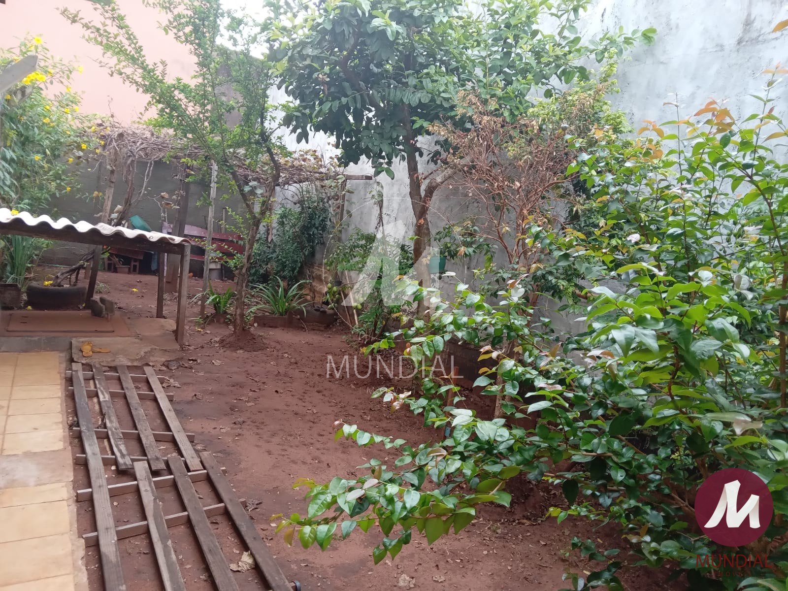 Quintal/corredores — foto 10