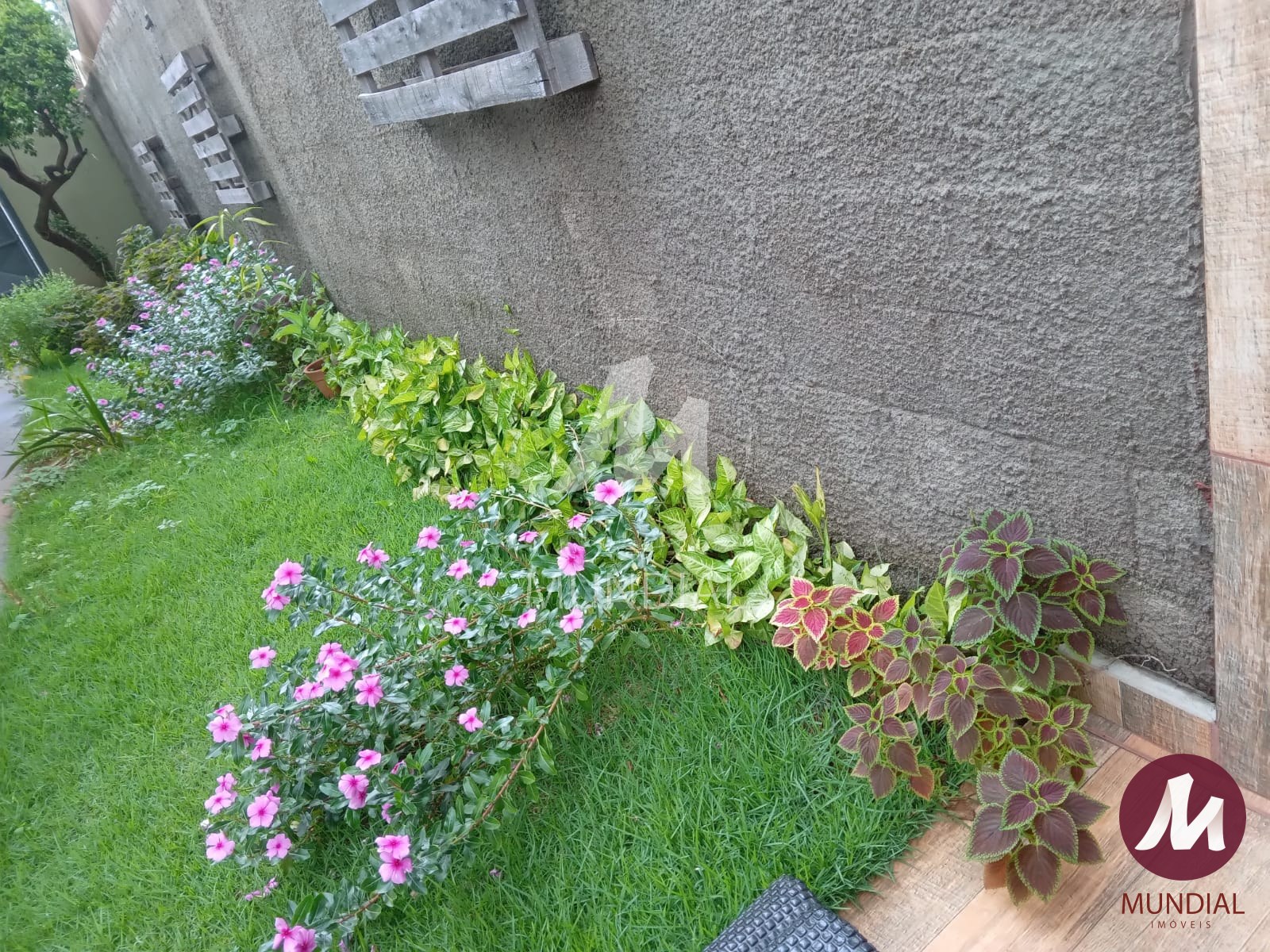 Quintal/corredores — foto 11