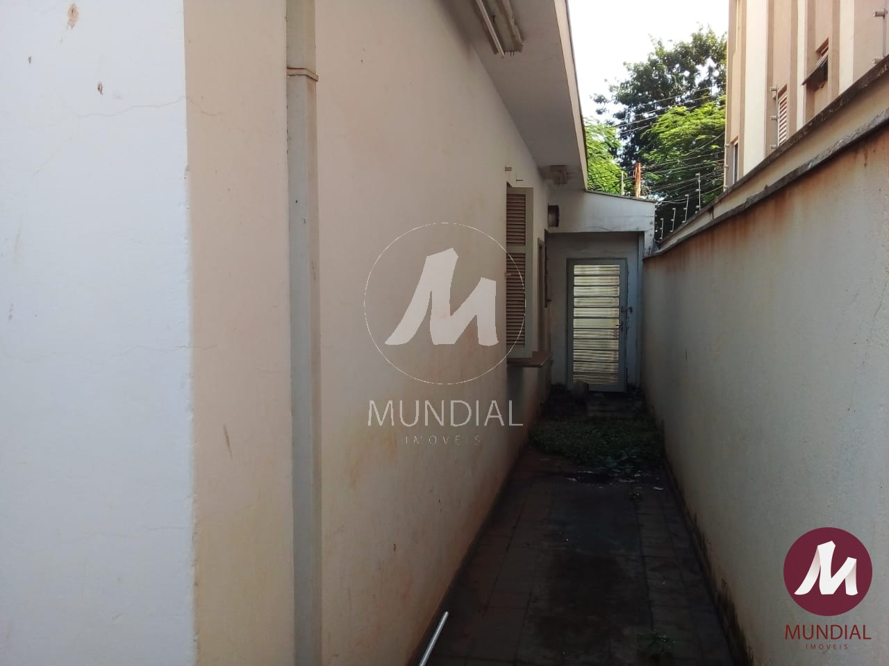 Quintal/corredores — foto 15