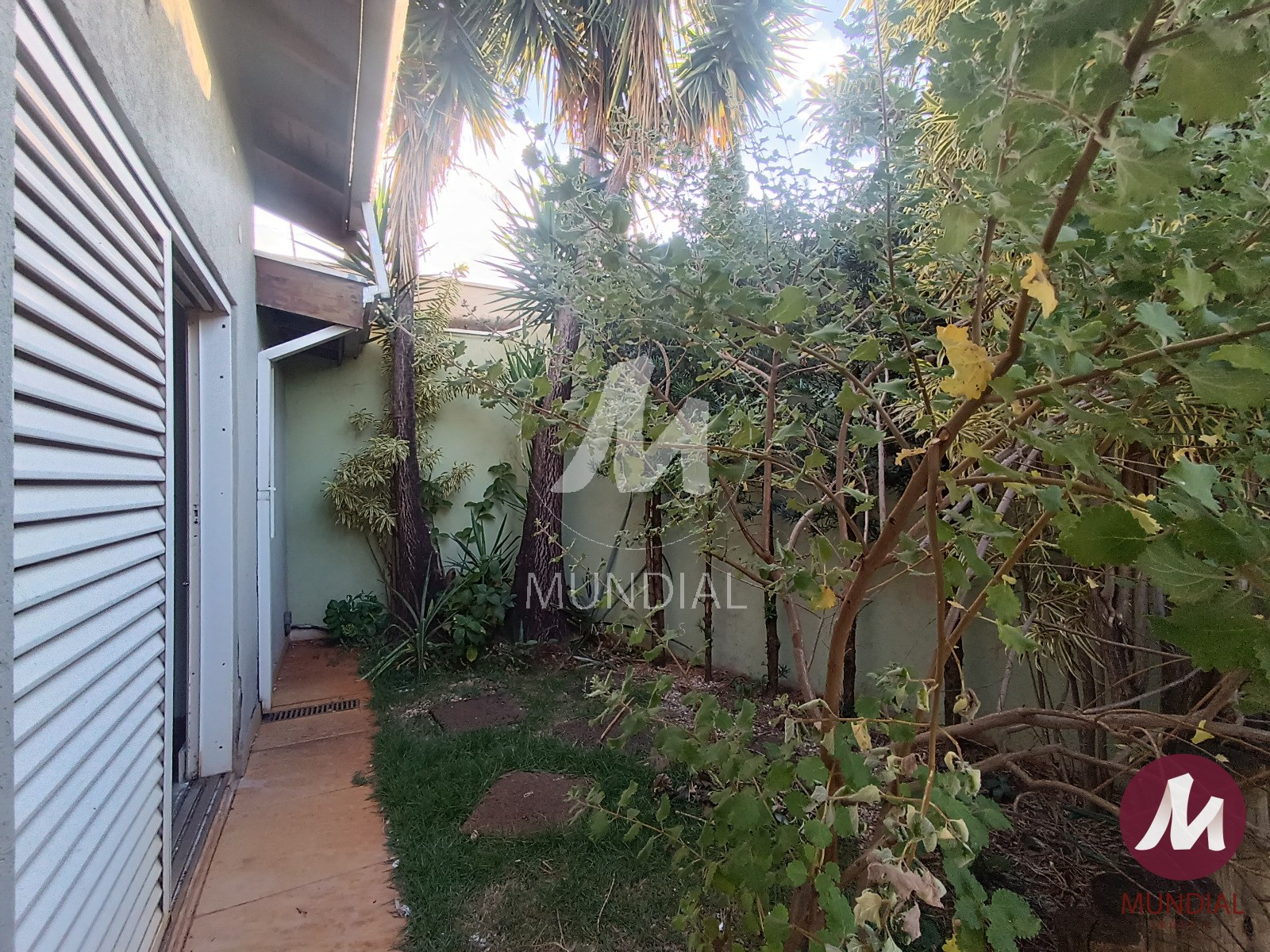 Jardim — foto 11