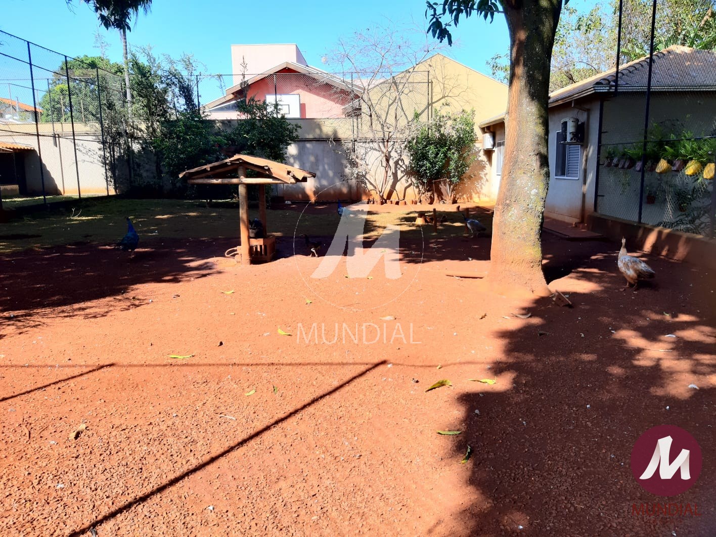 Outras — foto 19