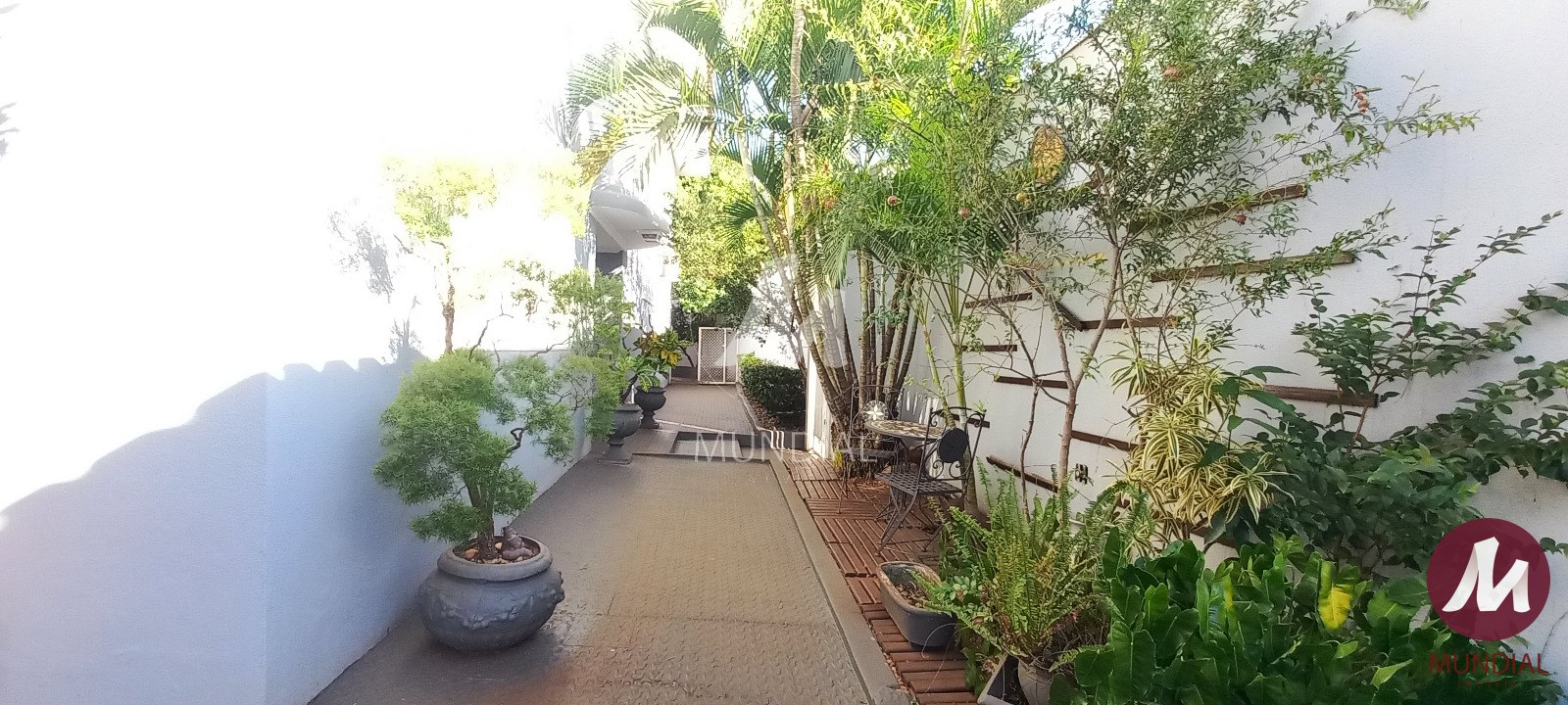 Quintal/corredores — foto 27