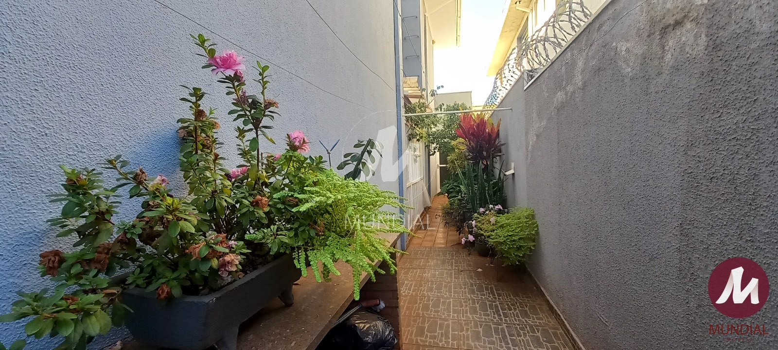 Quintal/corredores — foto 28