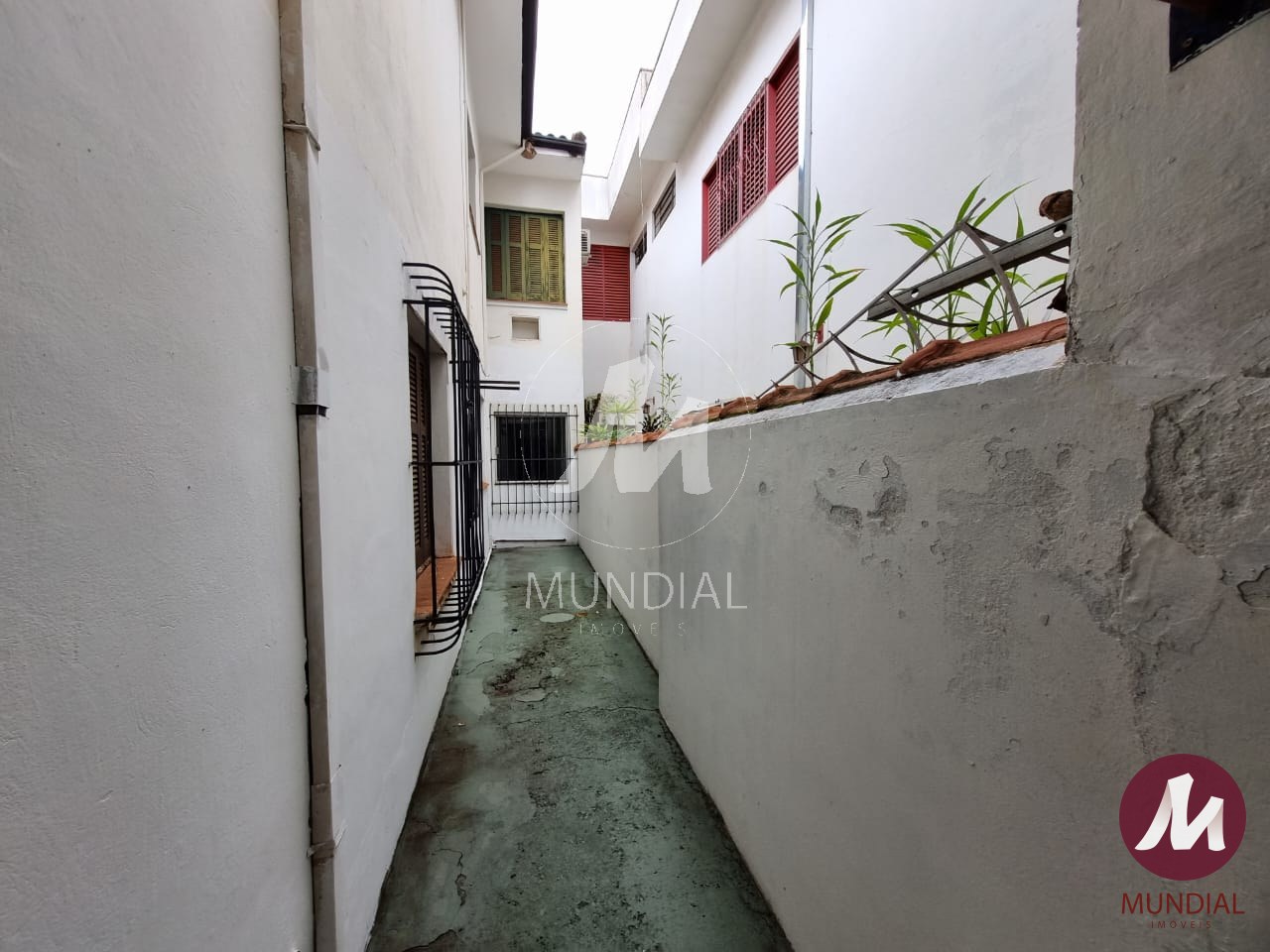 Quintal/corredores — foto 17
