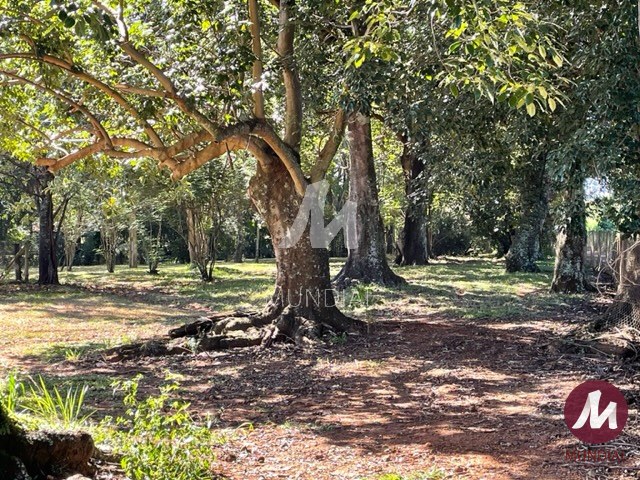 Fachada Unidade — foto 10