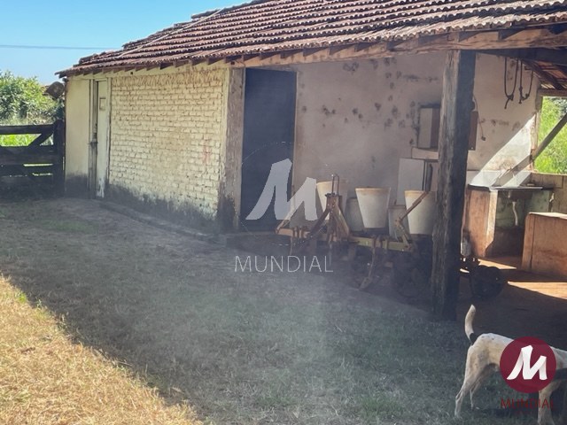 Salão — foto 14