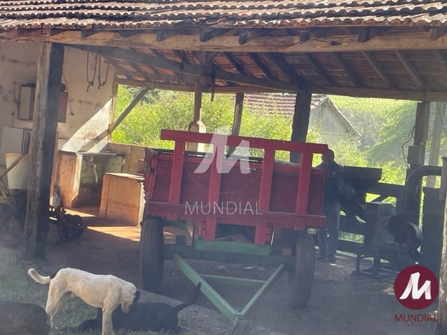 Salão — foto 16