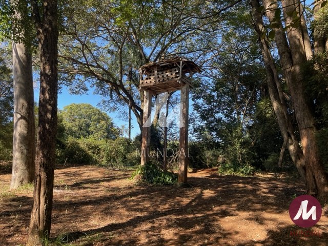 Salão — foto 17