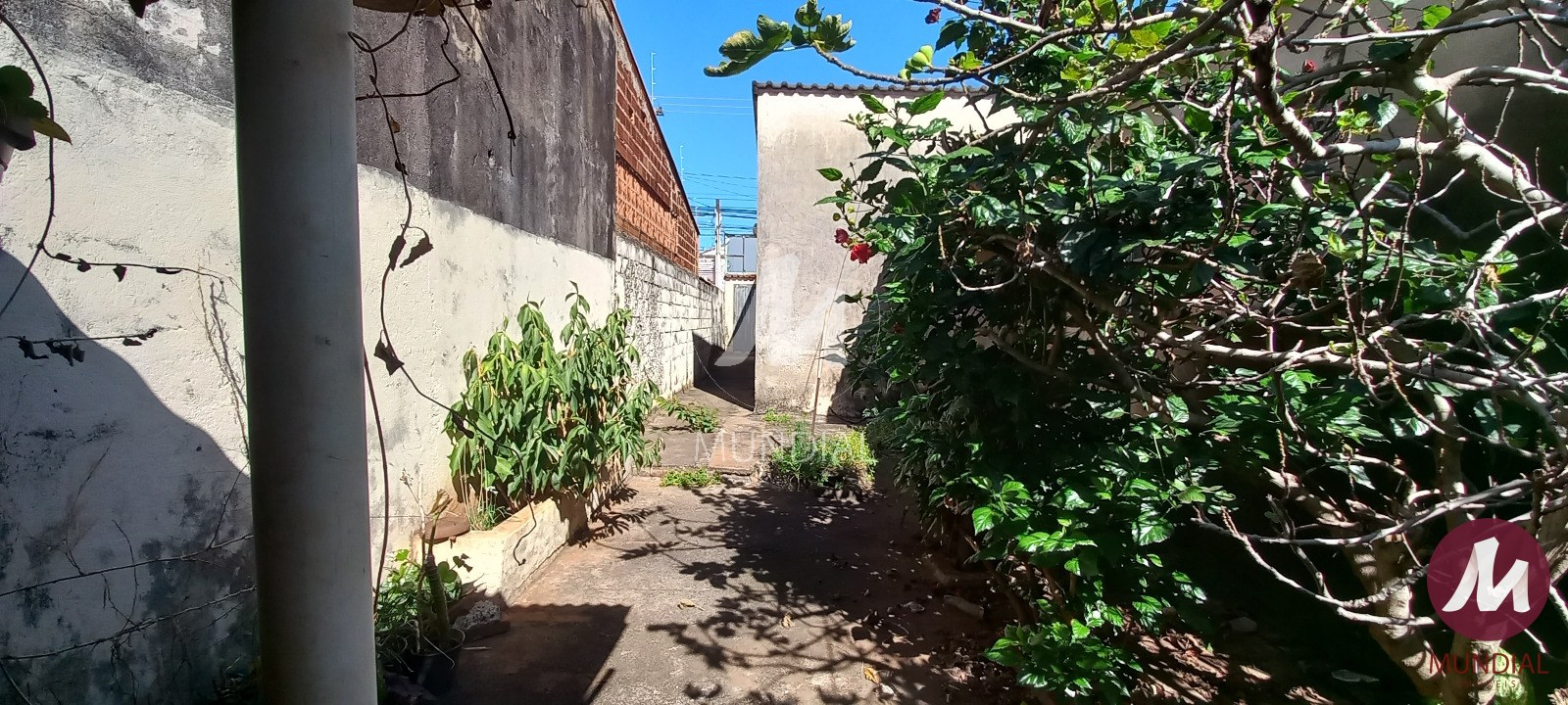 Quintal/corredores — foto 7