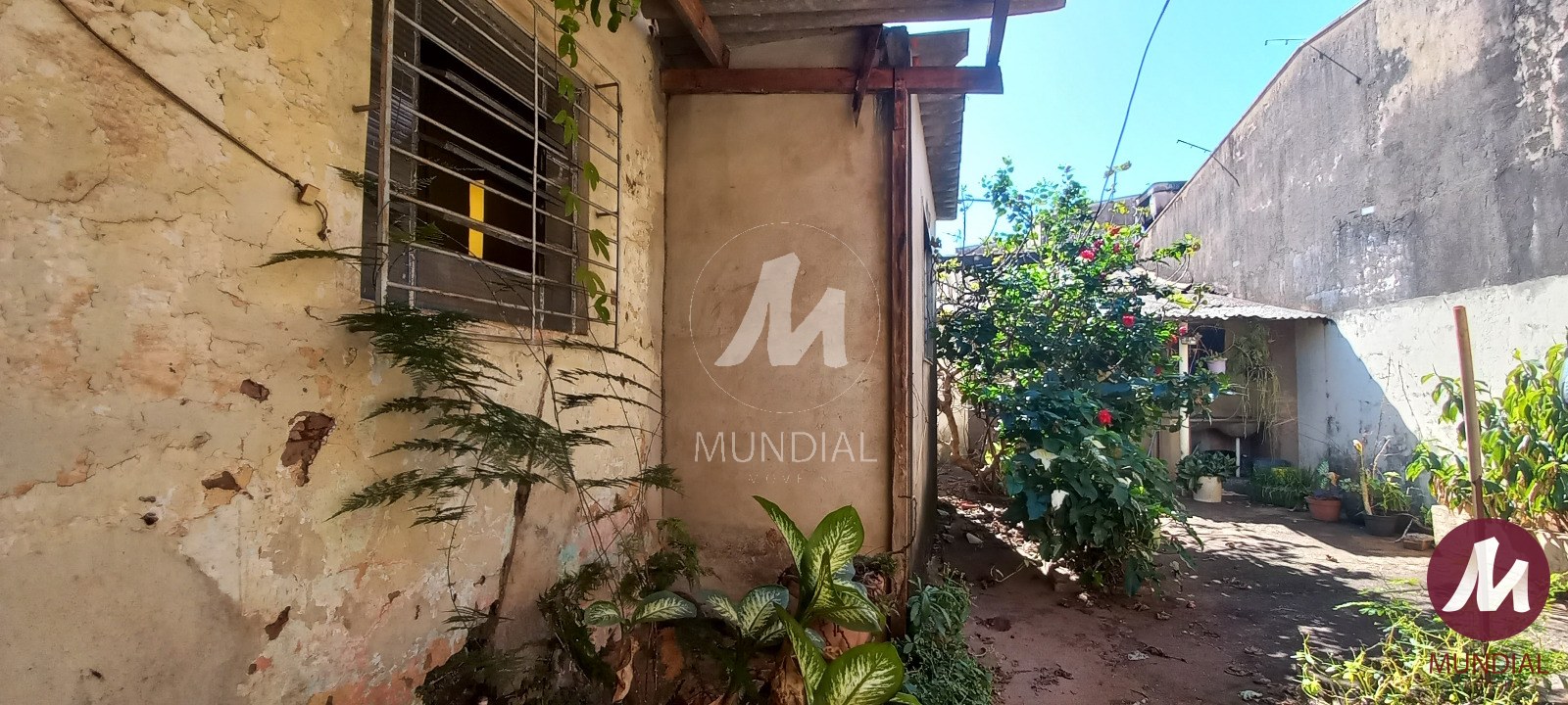 Quintal/corredores — foto 8