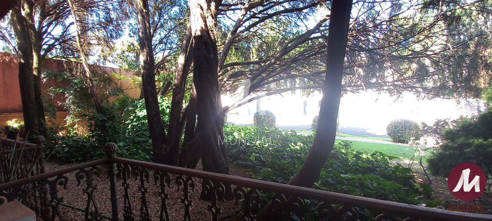 Jardim — foto 4