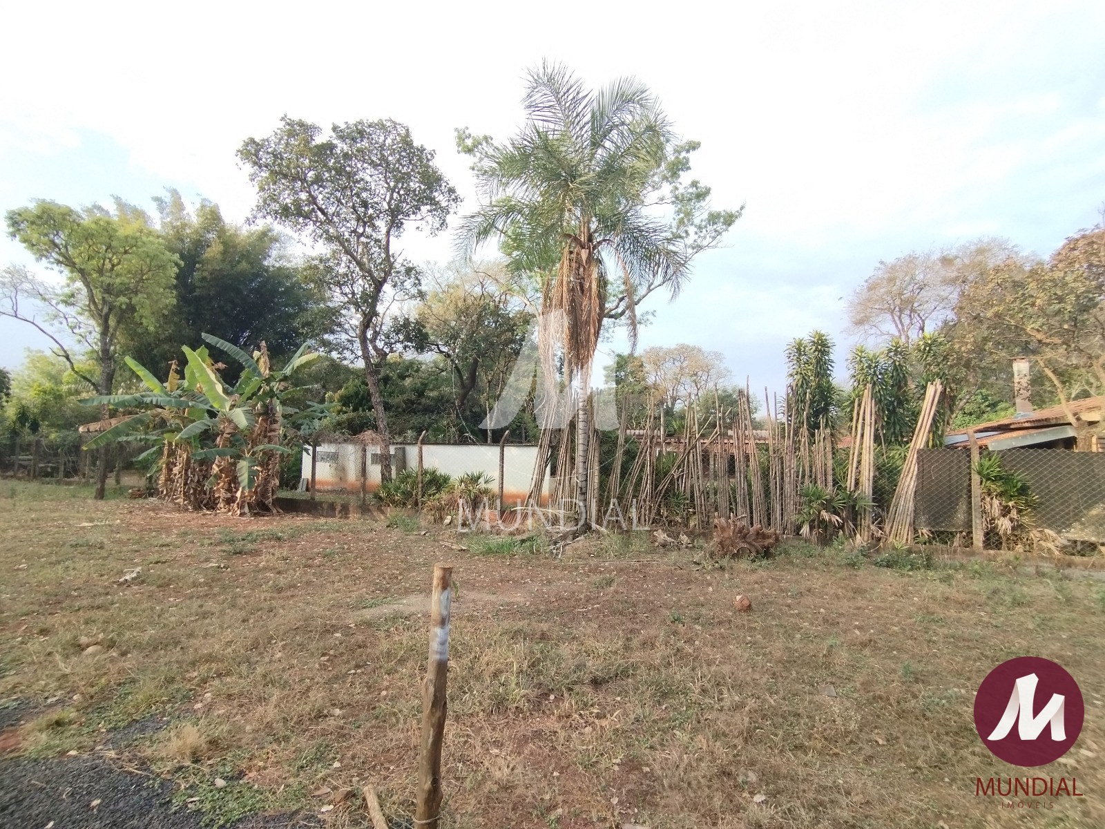 Terreno/Lote — foto 21