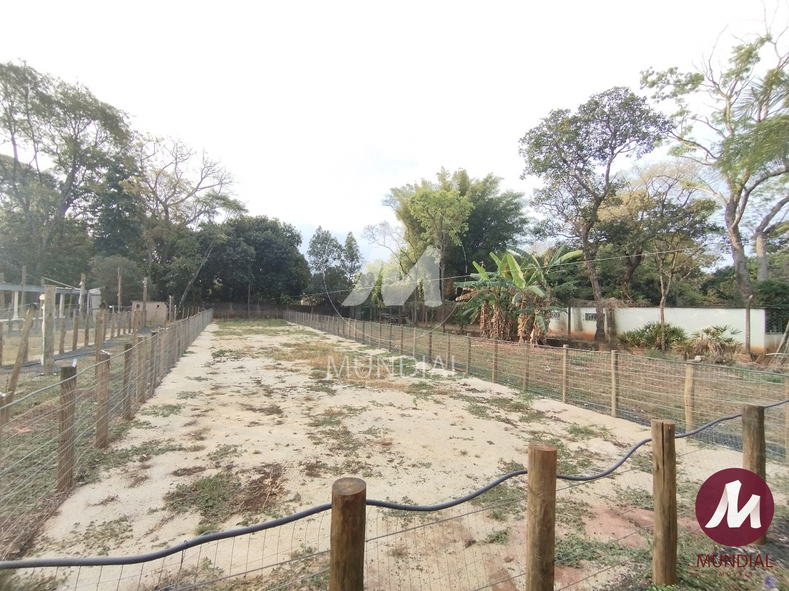 Terreno/Lote — foto 22