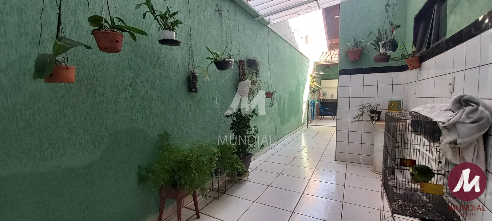 Quintal/corredores — foto 10