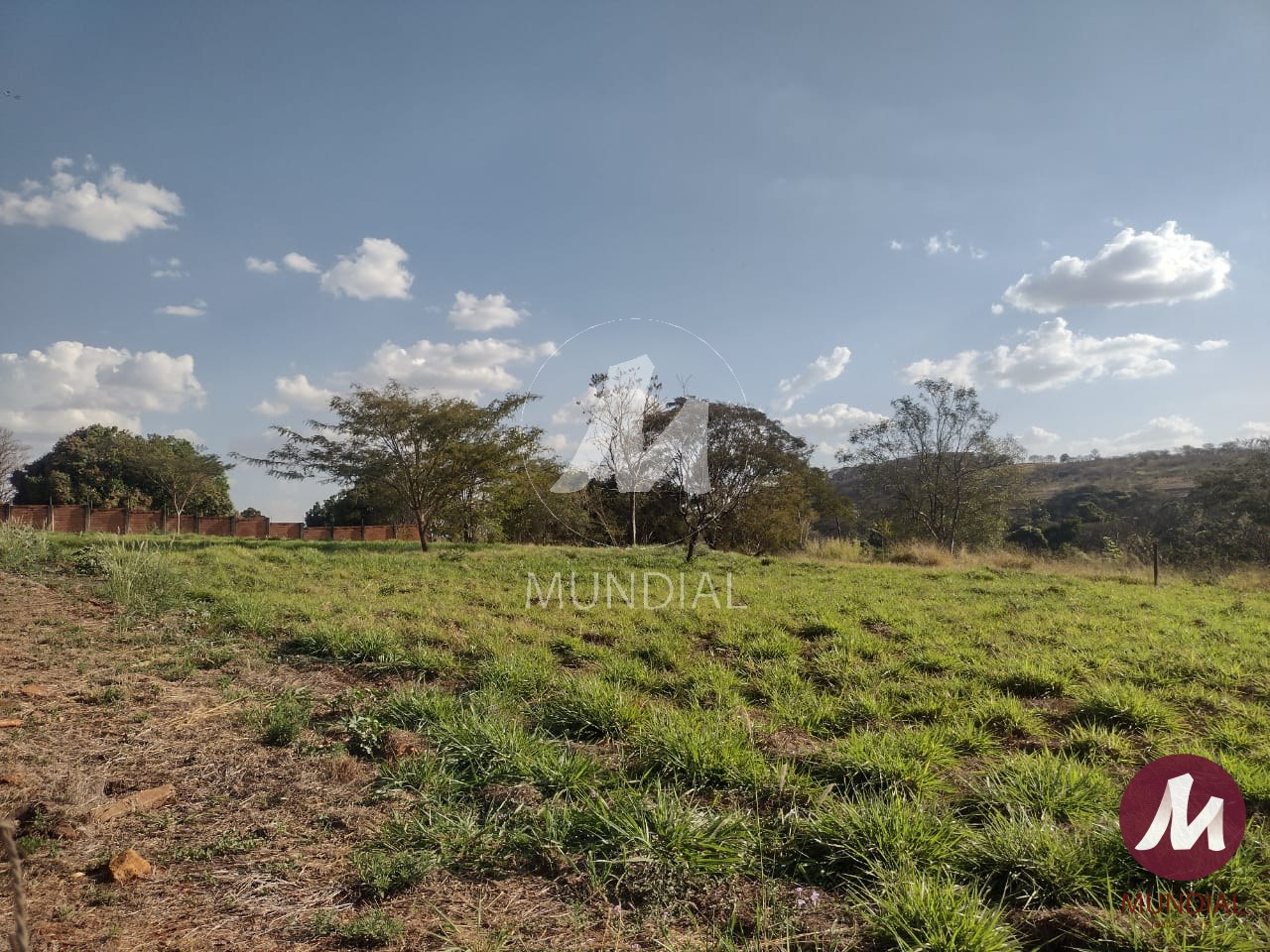 Terreno/Lote — foto 4