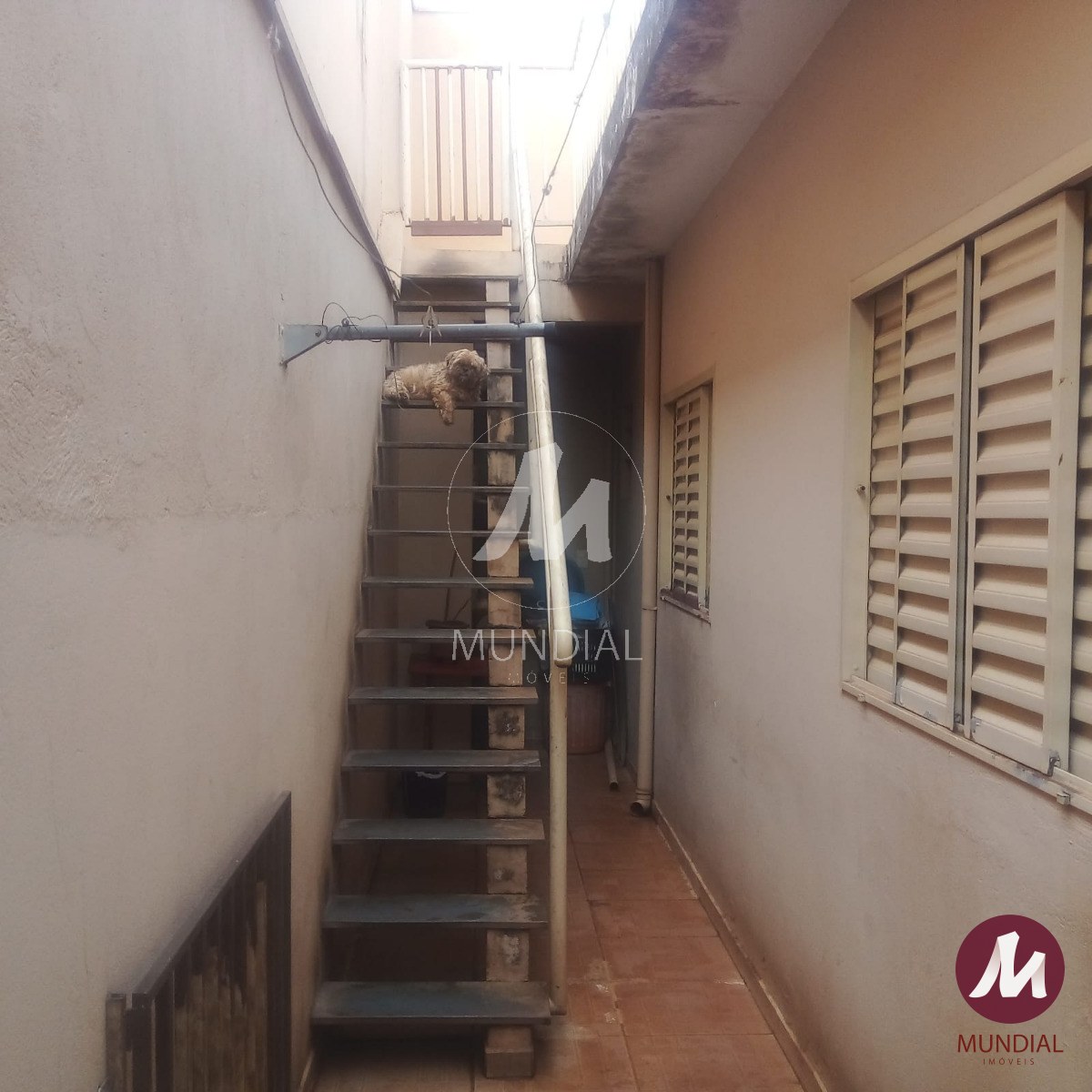Quintal/corredores — foto 6