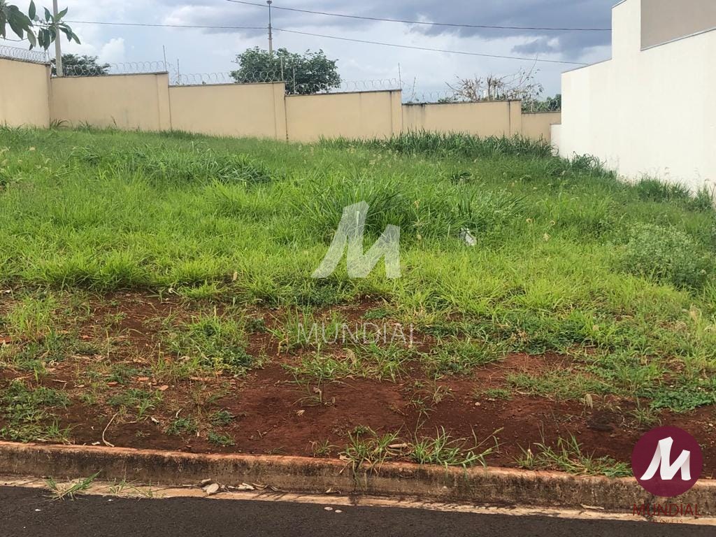 Quintal/corredores — foto 1