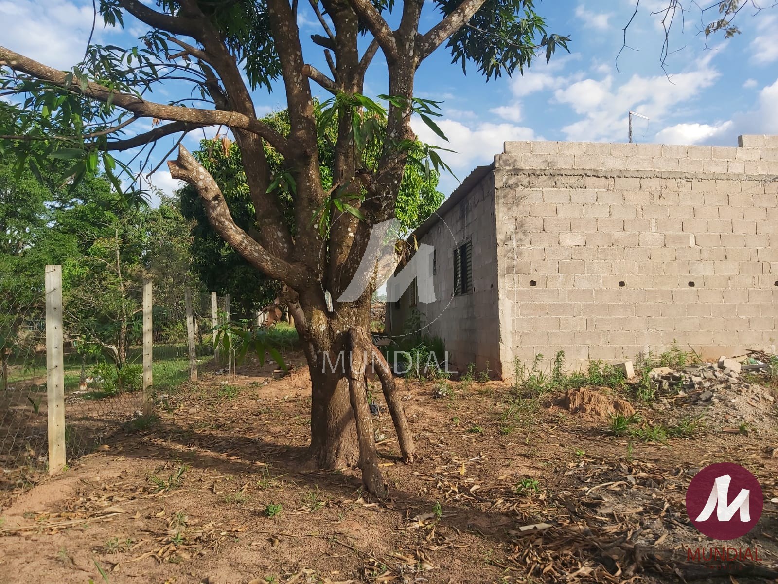 Acompanhamento da obra — foto 3