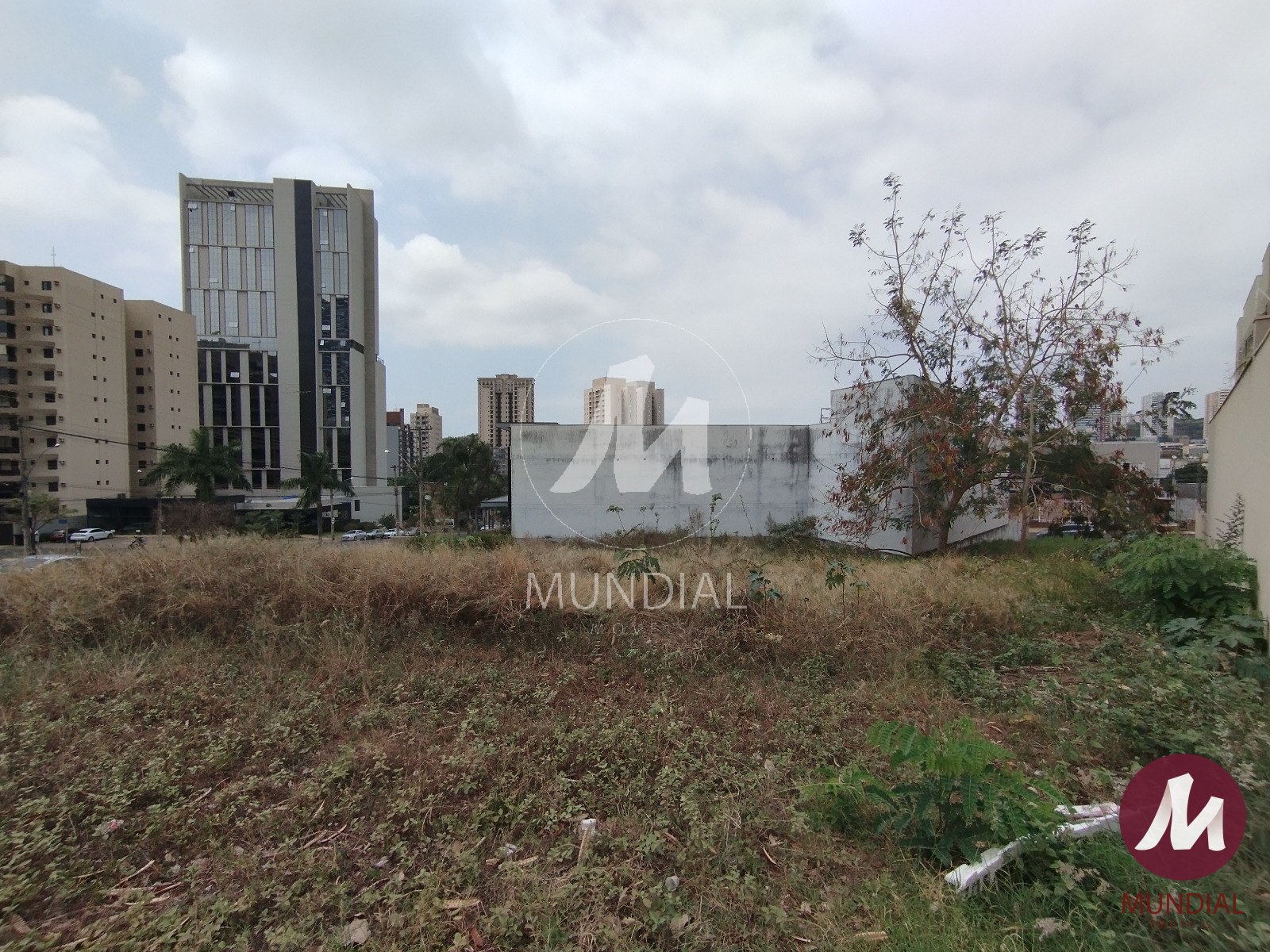 Terreno/Lote — foto 2