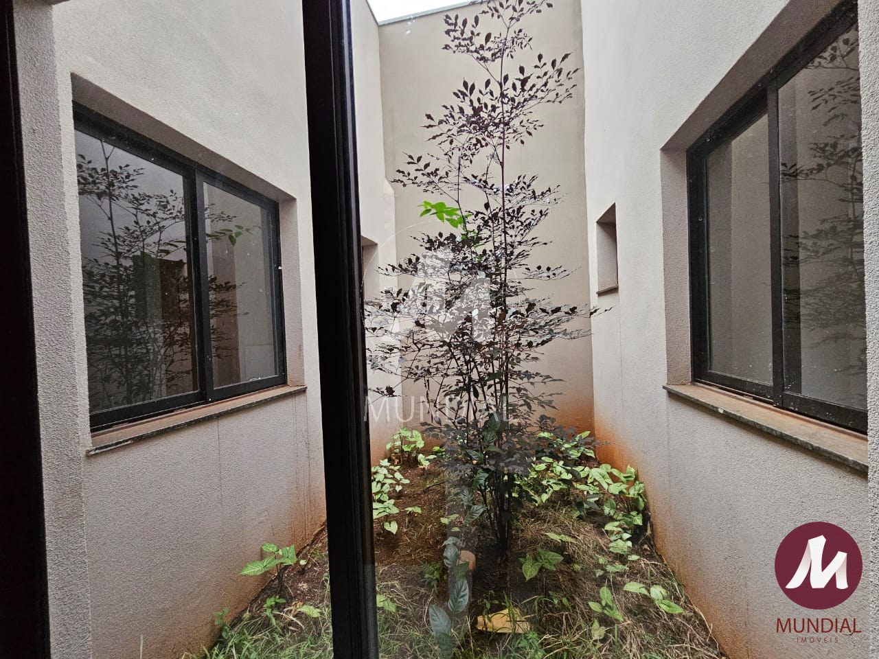 Jardim — foto 18