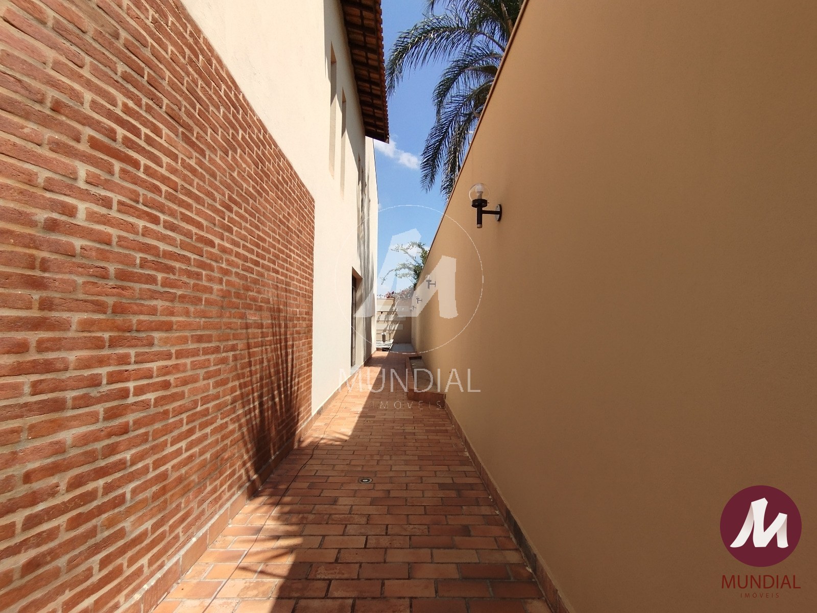 Quintal/corredores — foto 5
