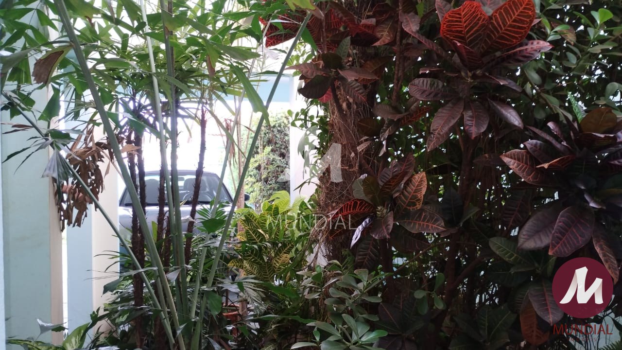 Garagem/estacionamento — foto 4