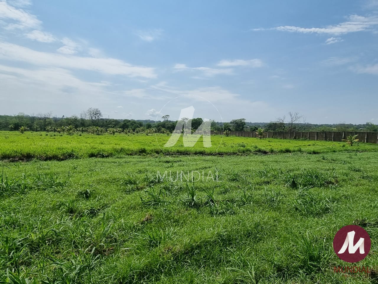Terreno/Lote — foto 2